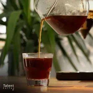اصطلاحات قهوه ( معرفی تمام واژگان تخصصی و رایج قهوه )