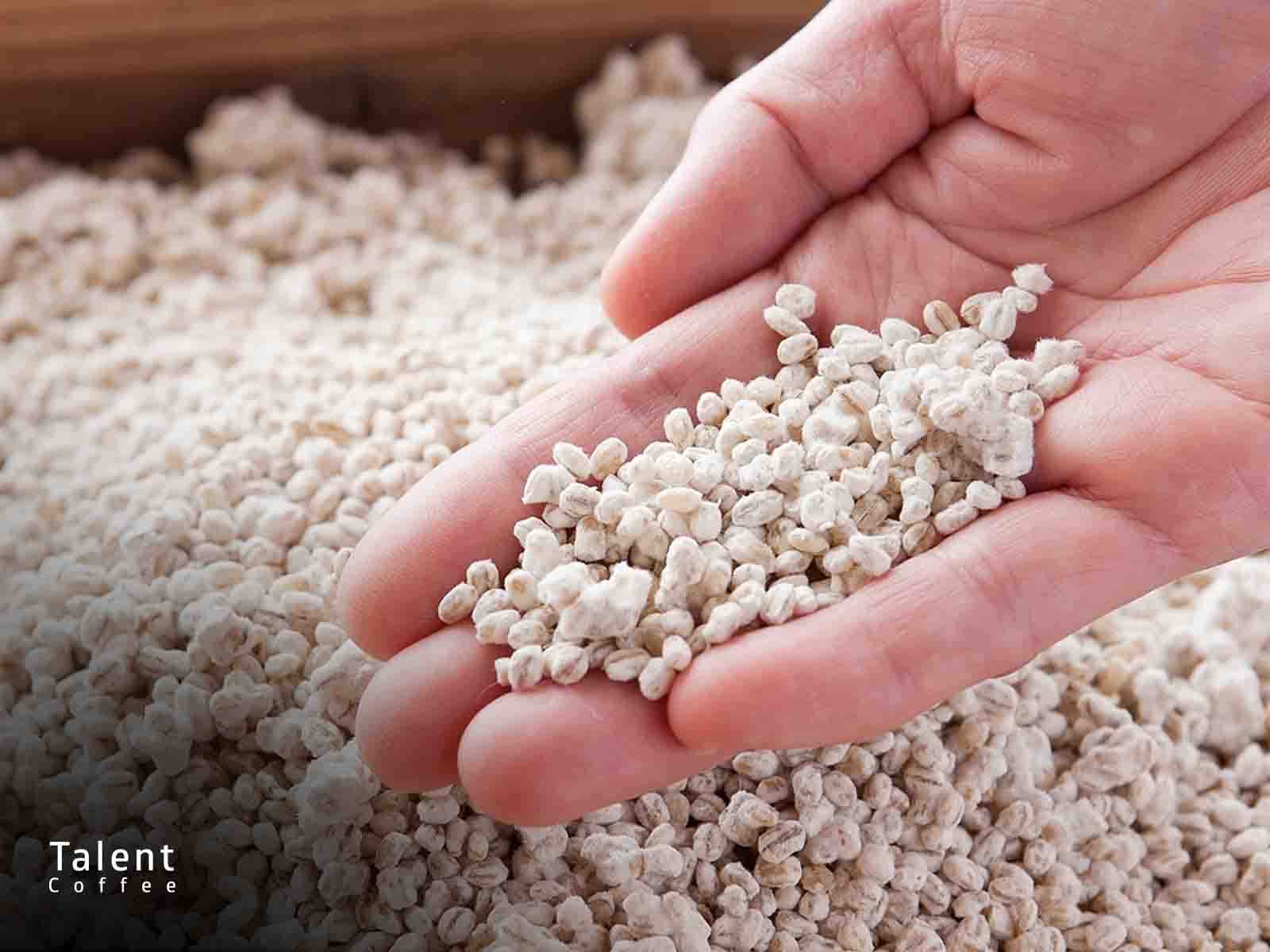 کپک آسپرژیلوس اوریزه و نقش آن در فرآوری کوجی و آشپزی مدرن