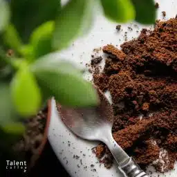 تفاله قهوه