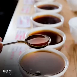 کافی کاپینگ چیست