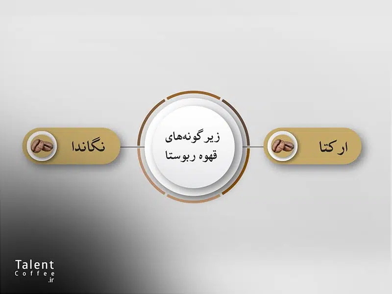زیرگونه های قهوه ربوستا