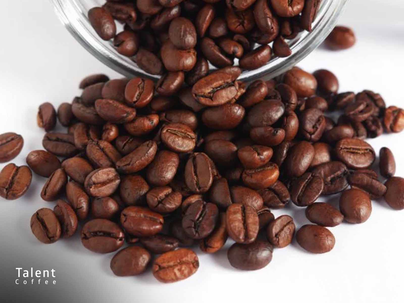 آیا قهوه خراب میشود؟